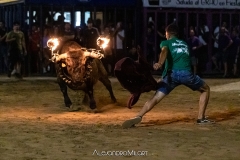 IMG_7014-280624