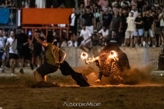 IMG_7020-280624