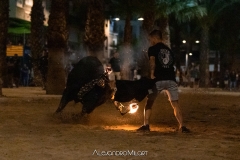 IMG_8599-300624