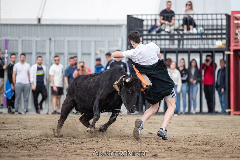 Pascua Taurina Onda 2024