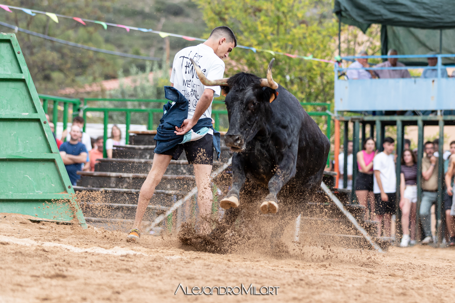 Especial Ganadería Arriazu en Ibarsos